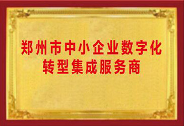数字化转型集成服务商